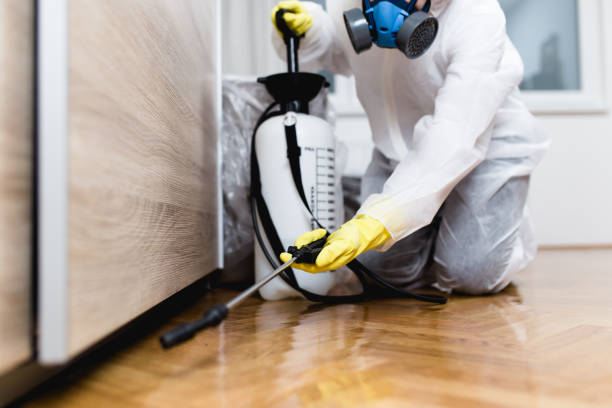 Best Local Pest Control Services  in Gautier, MS