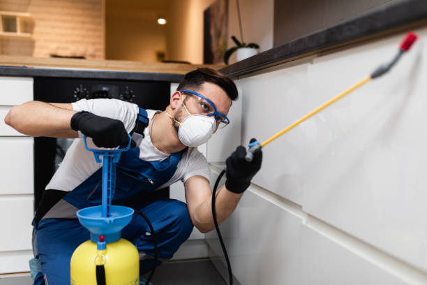 Best Rat Extermination Near Me  in Gautier, MS
