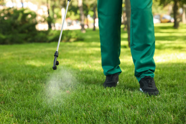 Best Flea Control Services  in Gautier, MS