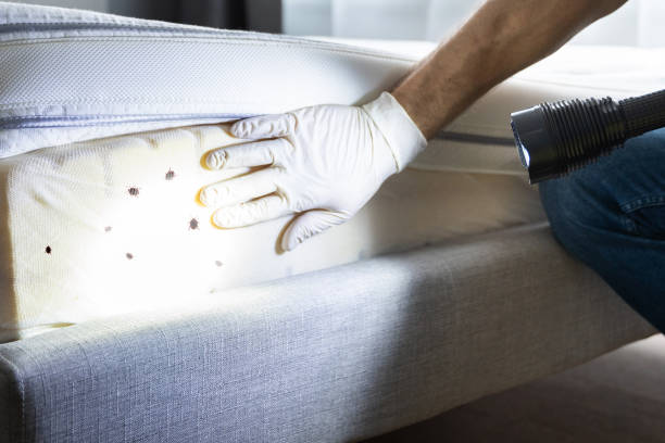 Best Best Pest Control Companies  in Gautier, MS